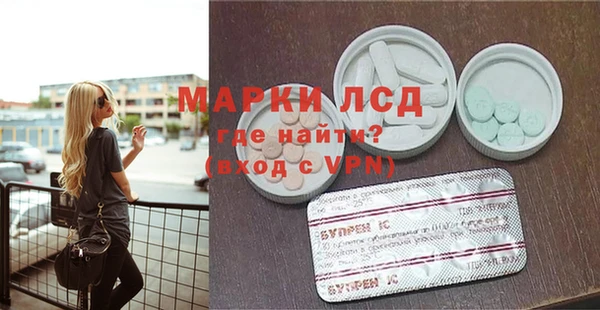 PSILOCYBIN Алзамай