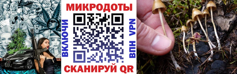 shop телеграм Котлас Галлюциногенные грибы Psilocybe