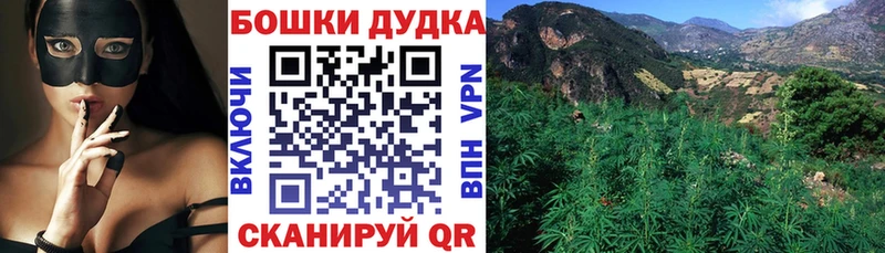 МЕГА ссылки  Котлас  Каннабис Amnesia 